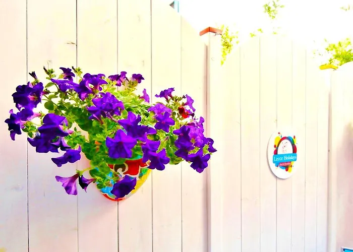 בית הארחה Holidays 3*